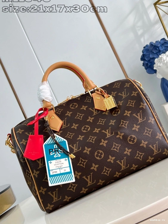 WIS Crafty Speedy Soft Vuitton 30 Louis 0317